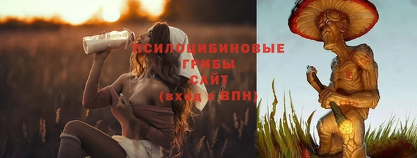 кокс Алзамай