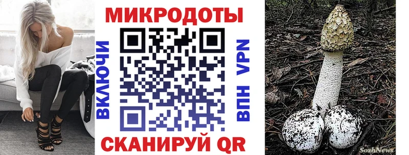 Псилоцибиновые грибы Psilocybe Заполярный